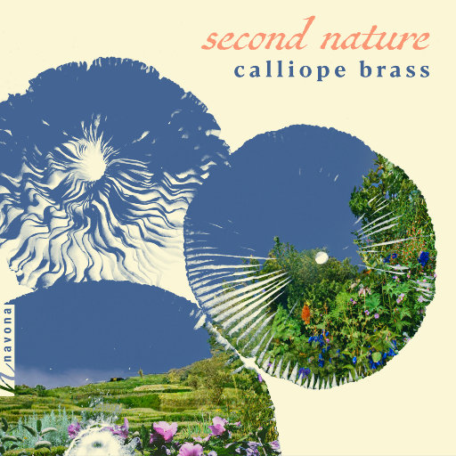 国产中文高清三级
